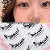 Dream Deer Girl Group Wet Look Reusable Natural False Eyelashes - Korean Style with Black Stem