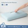 Free Shipping Ice Silk Pillowcases: Set of Two Cooling, High Elasticity, Summer Memory Foam Covers