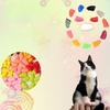 Pet 20pcs Dog Cat Nail Caps Pu Wrap Claw Paws Protect Clean Cute Safe Send Glue