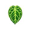 Plant Leaf Acrylic Coaster Durable Protective Drink Mat with Smooth Surface and Lightweight Design for Home Office Use