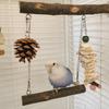 Universal Parrot Toy Strong Hardness Perched Healthy Bird Perch Parrot Stand Stick  Parrot Swing Molar Claws