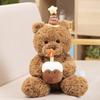 Birthday Hat Cake Gift Bear Doll Hug Bear Teddy Bear Plush Toy Throw Pillow Cake Bear Doll for Girlfriend