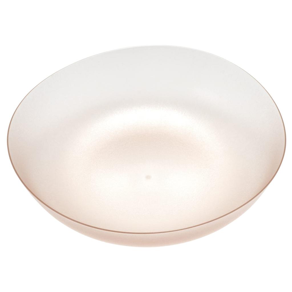 IJ Unbreakable Large PlateBowl, 21cm, 1000ml, Dishwasher Safe, Made In Japan, Perfect for Home Parties, Outdoor Activities, Stylish and Cute, Orange,