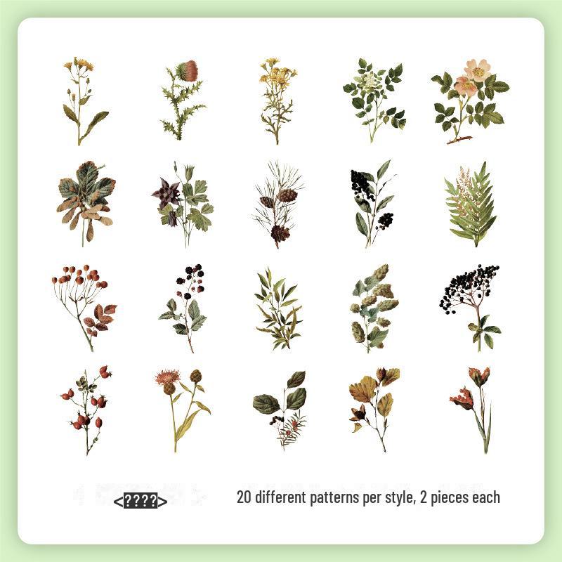 

Набор наклеек с изображением насекомых для детей из Музея естественной истории. Определите насекомых с помощью наклеек с изображением животных для дошкольников