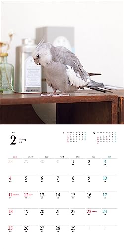 2024 Calendar Cockatiel (Seibundo Shinkosha Calendar)