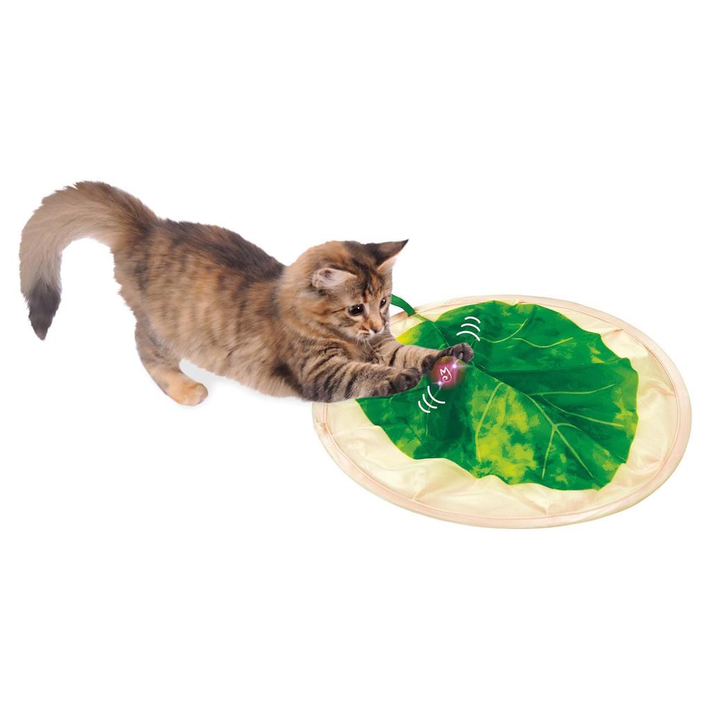 Marukan NYANTA CLUB Nyanta's Go-Go Rolling Hide and Seek