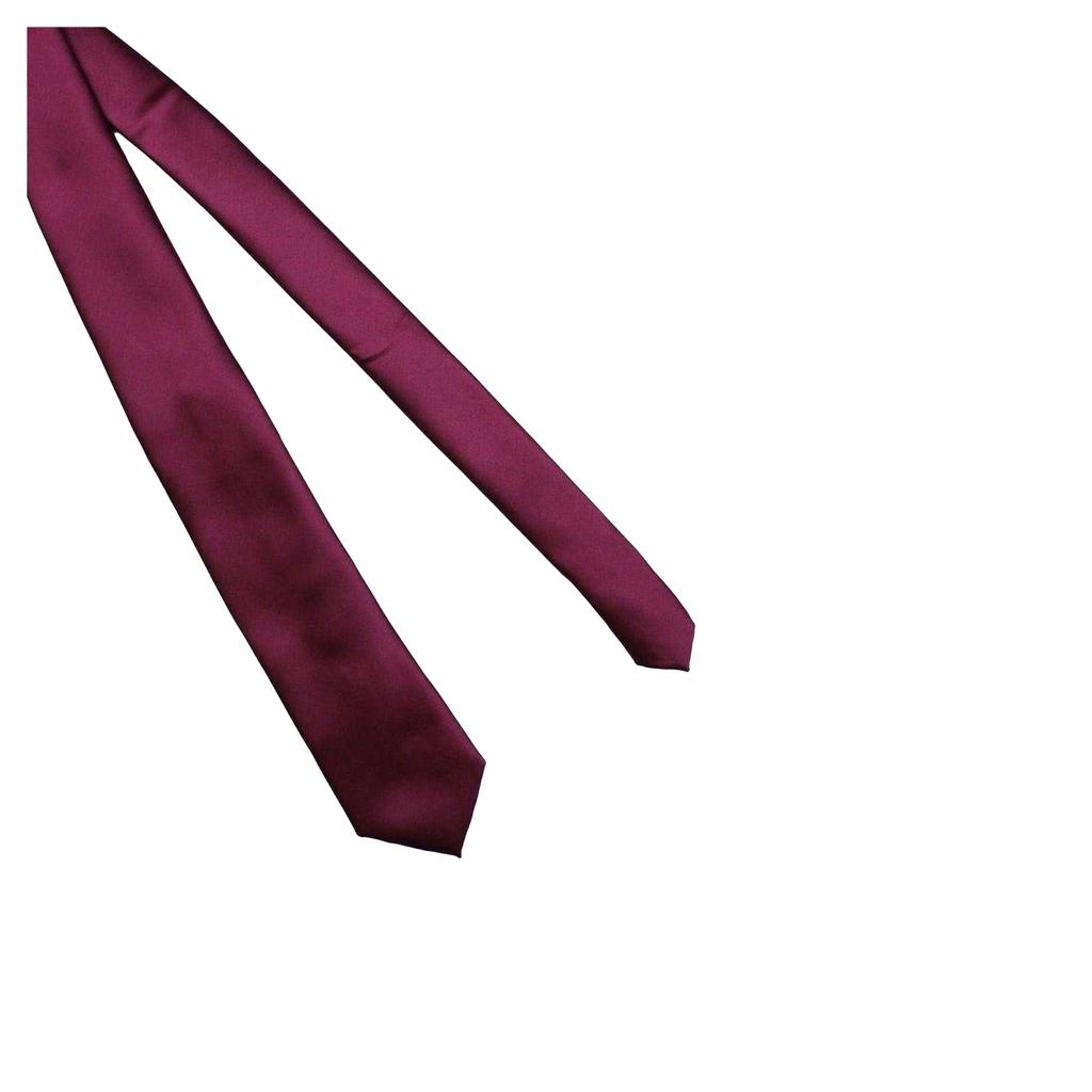Twisted Tailor Mens Ellroy Tie