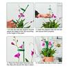 Extendable Plant Stakes Plant Support Stakes Set with Movable Clips Adjustable Monstera Support Stakes for Indoor Outdoor Plants Tomato Orchid