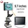 Phenix XSP-36TV Biological Microscope