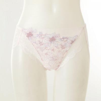 Slips – Bikini, Brazilian, Hipster, Slips & Retropants