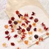 30Pcs/Bag Resin Camellia Art Rhinestones Bowknot Beautiful Durable Eco-friendly Nail Nail Accessories