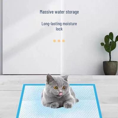 Gatos – Cuidados e higiene
