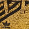 Adidas Originaluri Poliester Geantă Portabilă Crossbody Geantă de Umăr Mini Unisex Auriu Adidas HB0011