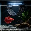 Wall Mount Shelf Set for Ornamental Shrimp, Suction Cup Rest Shelf for Small Glass Habitats, 2 Piece Plastic Water Habitat Accent