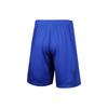 Under Armour Shorts Men's Royal Blue 22500202-400
