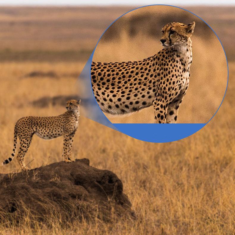 Binoculars High-power High-definition Low-light Night Vision Professional Portable Telescope Adult Outdoor Mountaineering Telescope