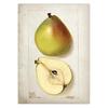 Classic Fruit Kitchen Antique Canvas Painting Retro Print Pear Apple Pineapple Wall Art Deco Picture,High Quality for Home Decor