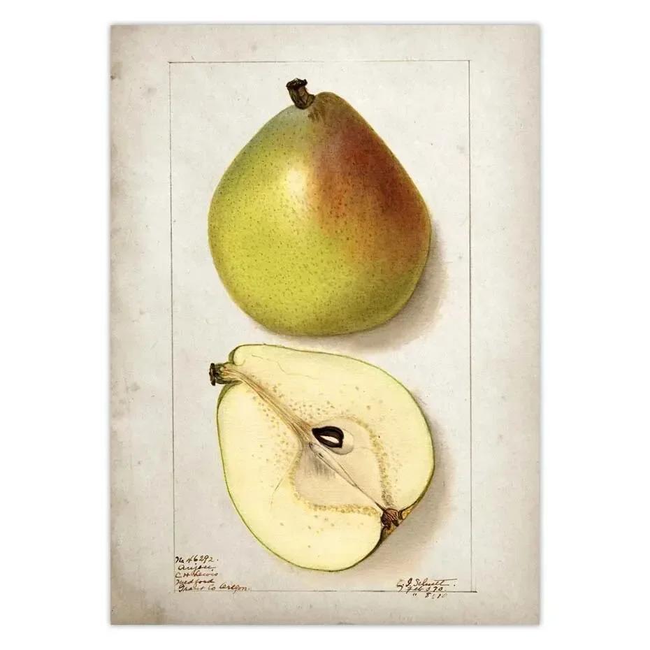 Classic Fruit Kitchen Antique Canvas Painting Retro Print Pear Apple Pineapple Wall Art Deco Picture,High Quality for Home Decor