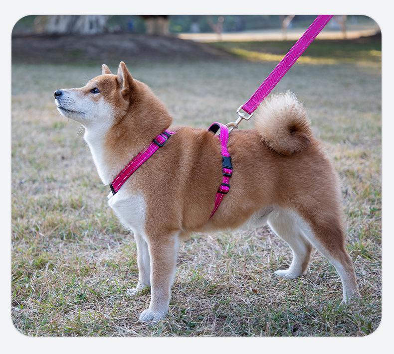 Dog Leash Vest: H-Type Chest Harness for Small To Large Dogs - Outdoor Walking Gear