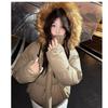 Casual All-match Niche Fur Collar Hooded Jacket Women's Winter Thickened Warm Loose Simple Cotton Coat