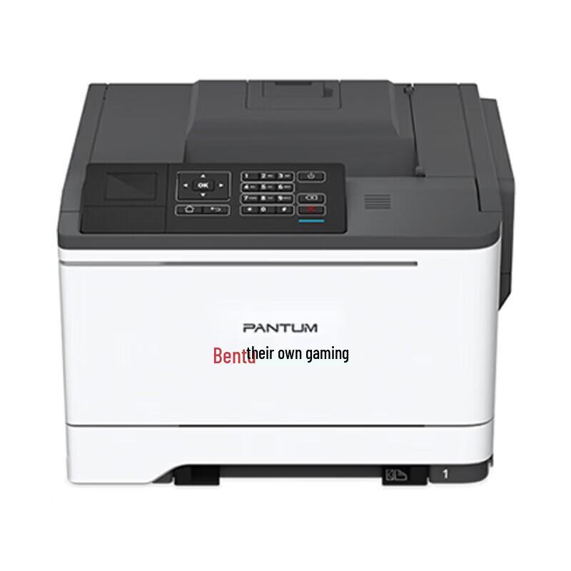 Pantum CP2510DN A4 Color Laser Printer CN plug (adapter included)