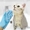 Pet Bathing Gloves, Anti-scratch and Anti-bite Cleaning Supplies for Dogs and Cats, Golden Retriever Bathing and Massage Brushes for Dogs and Cats