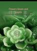 Golden Money-Attracting Three-Legged Toad Figurine - Home & Office Decor Ornament for Shop Openings