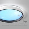 Smart LED Blue Sky Deckenleuchten Home Decor Fernbedienung/Wandschalter Steuerung Helligkeit Dimmbar Einfache runde Lampen Deckenleuchter