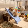 Creative Colorful Hamster Climbing Ladder Interactive Wave Shape Guinea Pigs Bridge Decorative Hedgehog Ladder Small Animals