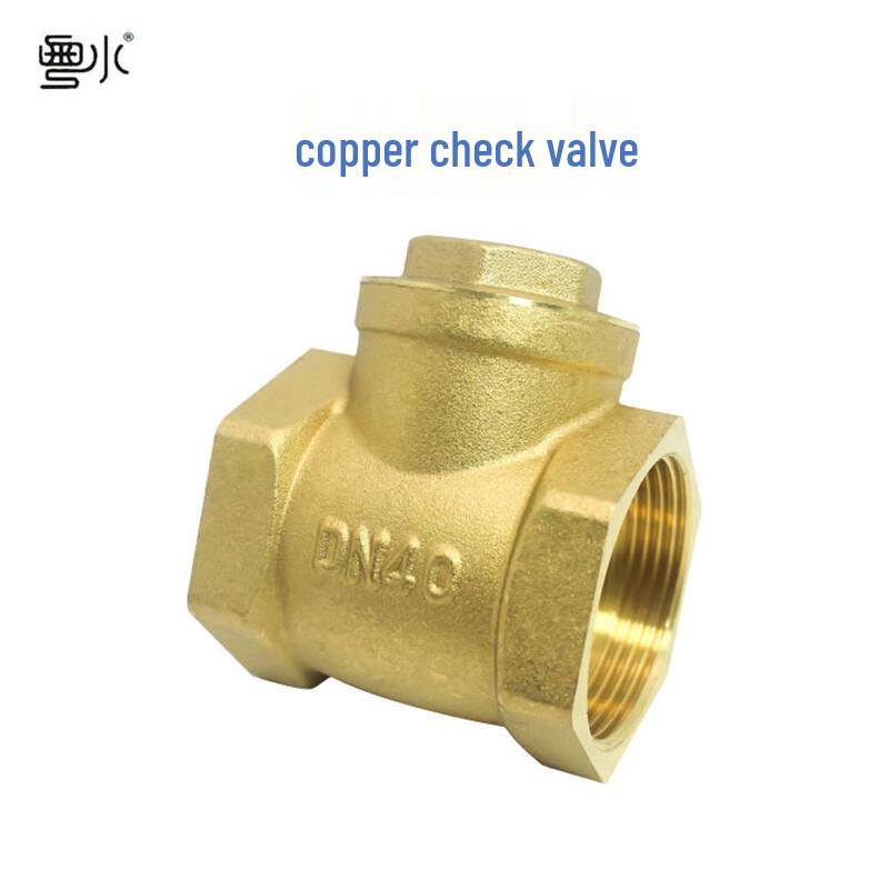 Yueshui Thickened Brass Horizontal Check Valve (CN version)