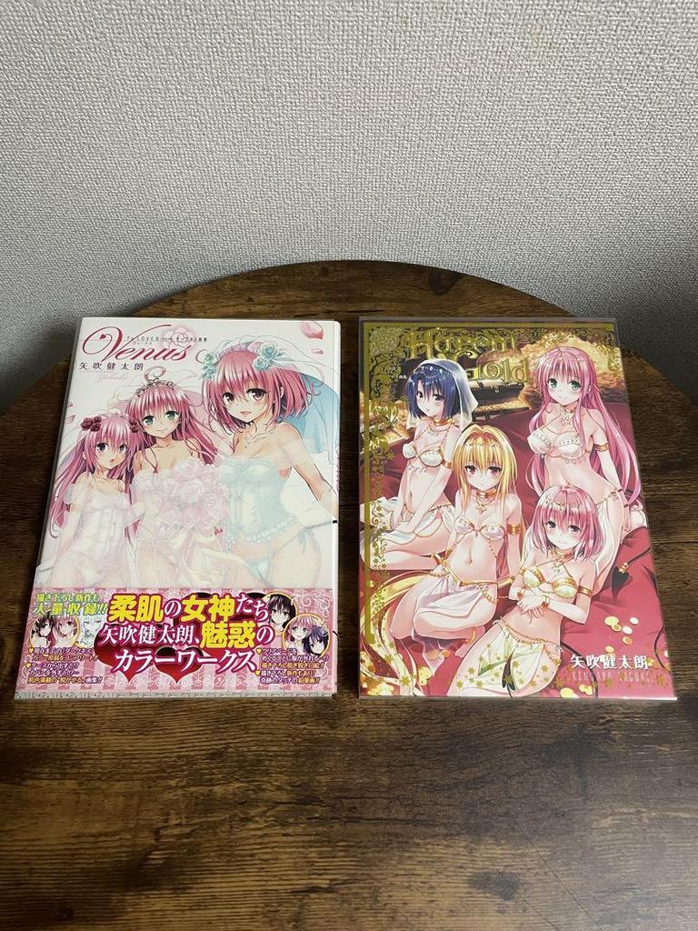 [USED] To Love-Ru Darkness Art Book Set of 2