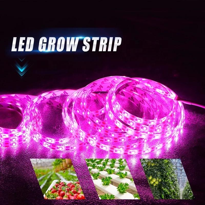 LED Grow Light Full Spectrum USB Grow Light Strip 0.5m 1m 2m 3m 2835 DC5V LED Phyto Lamp Tape for Seed Plants Flowers Greenhouse