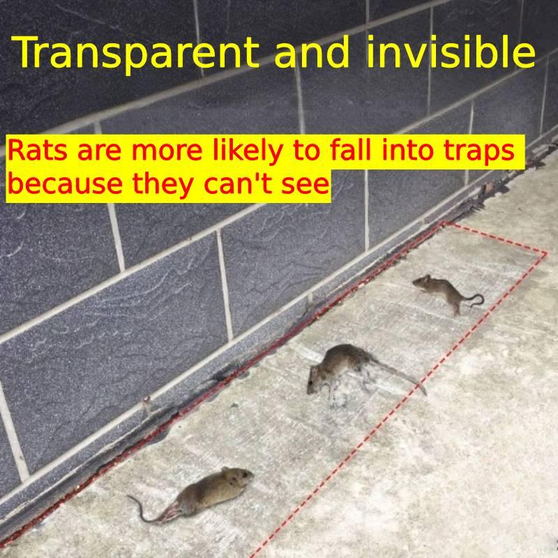 Invisible Transparent Mouse Trap Mat For Catching Rodents In Home Use Strong Adhesive Sticky Pad For Rat Control X 28cm)