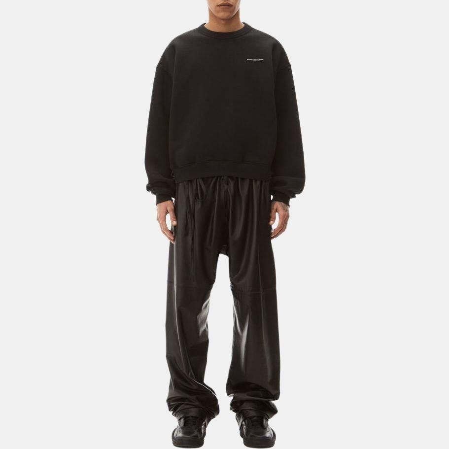 Alexander Wang Sweaters Unisex Black Crew Neck Moderate UCC2221530-001