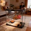 Reptiles – Terrarios de reptiles