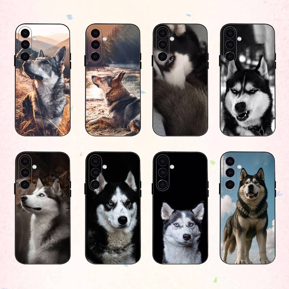 Cute Siberian Husky Dog phone Case For Samsung Galaxy A73,A72,A71,A70,A53,A52,A51,Others Soft Black Shell