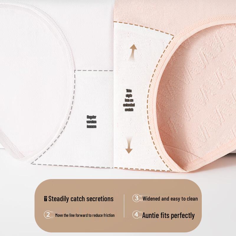 MaoRen Women's 60-Count Medical Cotton Antibacterial Briefs (5-Pack)