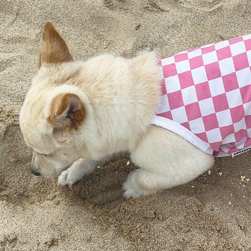 BARKDOG Check Cool Crop Débardeur à bretelles M-6XL 3 couleurs