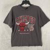 NBA Chicago Bulls Mens T Shirt Ultra Game Gray Graphic Medium Cotton Crew