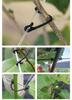 Grape Vine and Orchard Branch Plastic Clips for Labor-Saving Fixing