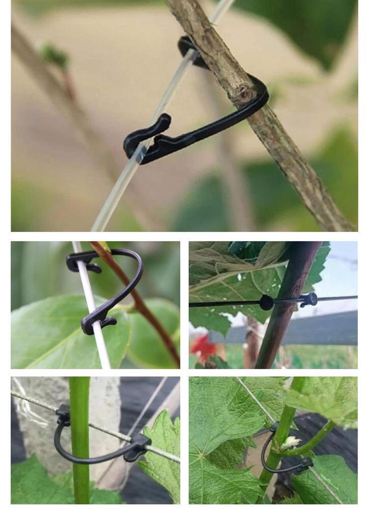 Grape Vine and Orchard Branch Plastic Clips for Labor-Saving Fixing