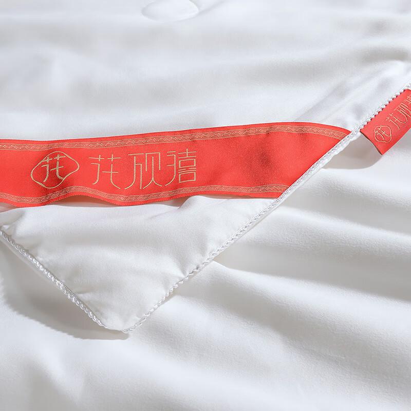 Huaxinxi Natural Silk All-Season Quilt