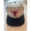 Used [Super Rare] NBA Chicago Bulls HWC 20th Anniversary Cap