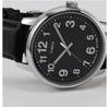 Часы TIMEX EASY READER TW2V21400