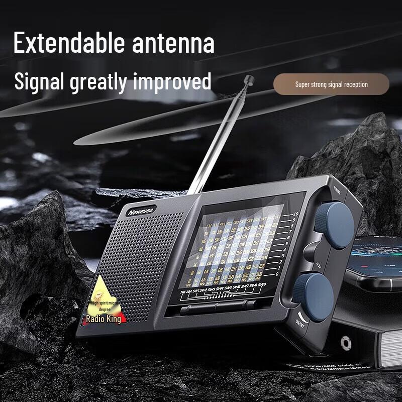 Newmine Portable Rechargeable Radio Speaker T-6629 CN plug (adapter included)