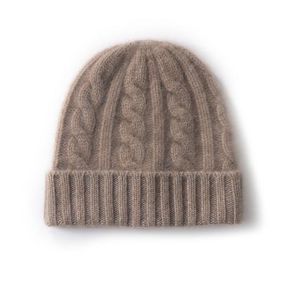 Kaschmirhut Herbst und Winter Neuer Stil Damenmode Lässig Gehörschutz Beanie Mütze Gedreht Einfarbig Strickmütze
