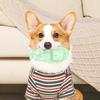 Dog Chew Toys Slipper Shape Puppy Chewer Boredom Play Care Cleaning Small Dog Toy Fetch Indoor Outdoor