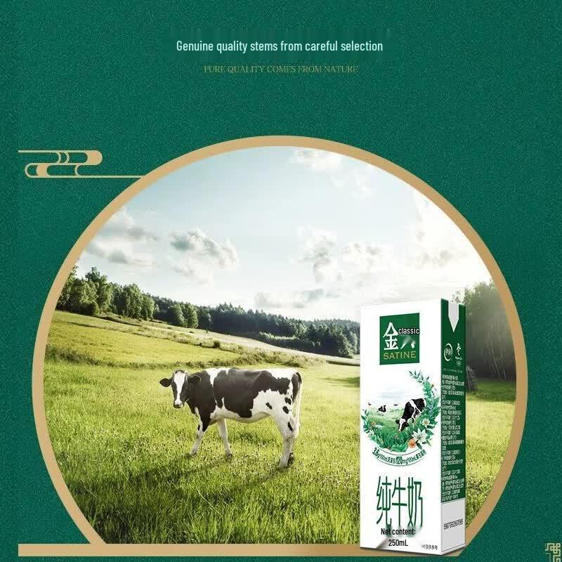 Yili Jindian Pure Whole Milk (250ml x 12 Pack)