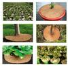 25/30/35/40cm 2PCS Natural Coco Coir Fiber Tree Mulch Ring Protector Organic Mat for Indoor Outdoor Disc Plant Cover Flower Pot