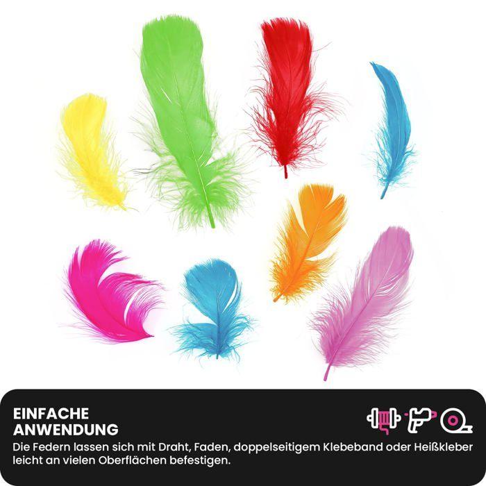 Jeu de scrapbooking - netuno - plumes décoratives - 10g - multicolore - pour enfants à partir de 3 ans